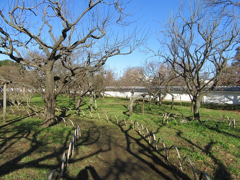 20151220-025.jpg