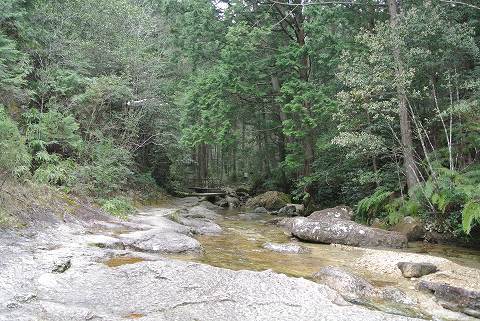 20170421-007.jpg