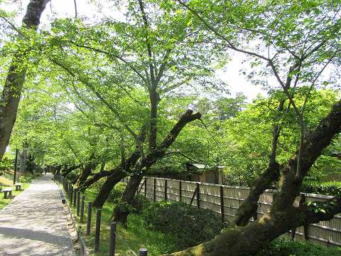 20170430-015.jpg