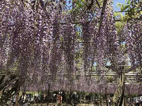 20170430-032.jpg