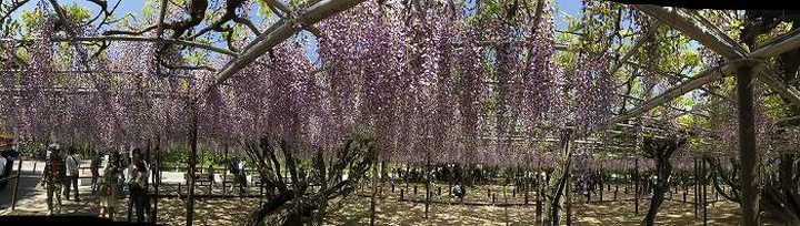 20170430-034.jpg