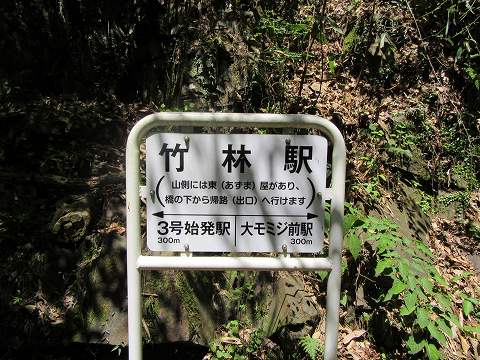 20170505-014.jpg