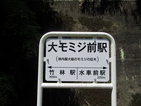 20170505-026.jpg