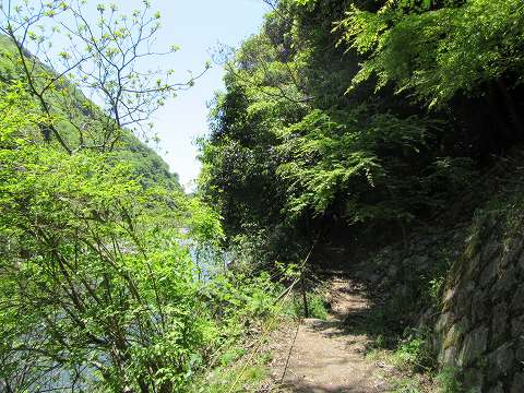 20170505-056.jpg