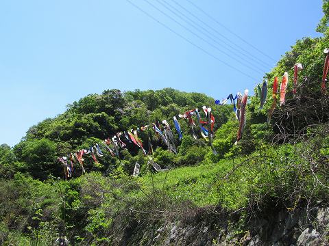 20170505-058.jpg