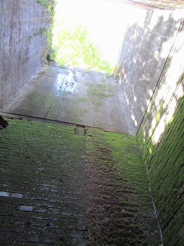 20170505-061.jpg