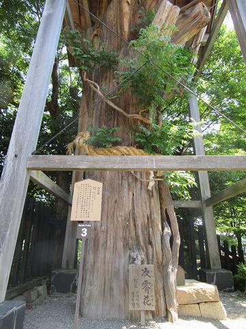 20170520-017.jpg