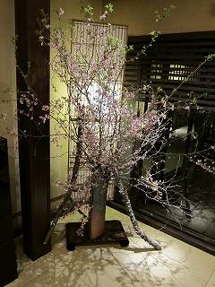 20100326-117.jpg