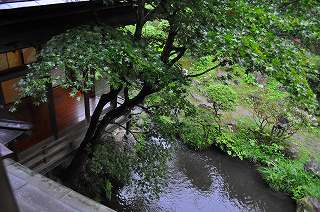 20100921-098.jpg