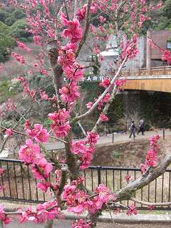 20140212-016.jpg