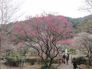 20140212-020.jpg